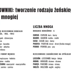 Hiszpański: tworzenie rodzaju żeńskiego i liczby mnogiej. Przykłady tworzenia form żeńskich i liczby mnogiej rzeczowników.