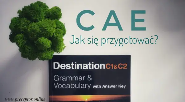 Zielona kępa mchu obok książki "Destination C1&C2 Grammar & Vocabulary" i napisu "CAE Jak się przygotować?".