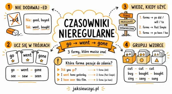 Nauka czasowników nieregularnych po angielsku: formy, kiedy używać i grupowanie wzorców. Poznaj "go", "went", "gone".