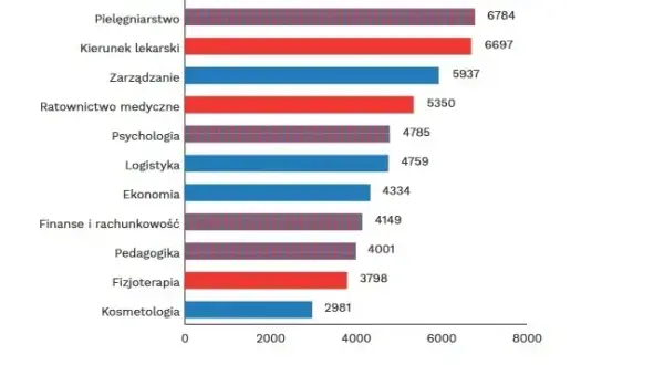 Zarobki po studiach ekonomicznych: co naprawdę zarabiają absolwenci?