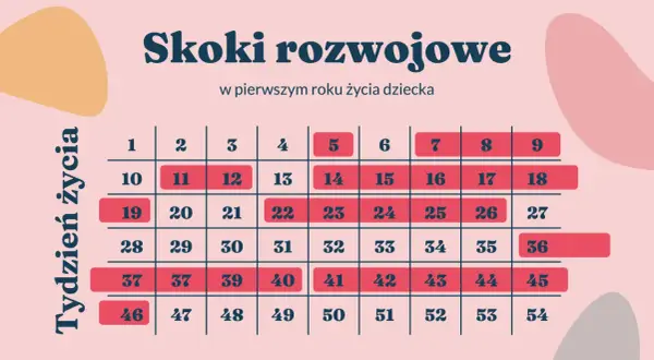 Tabela z numerami tygodni życia dziecka, z zaznaczonymi skokami rozwojowymi.