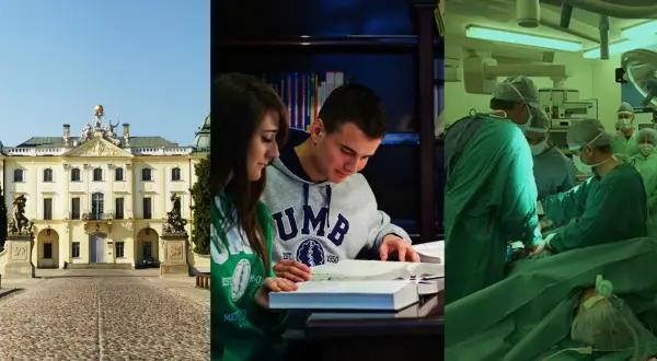 Doktor nauk medycznych po jakich studiach? Kluczowe informacje i wymagania